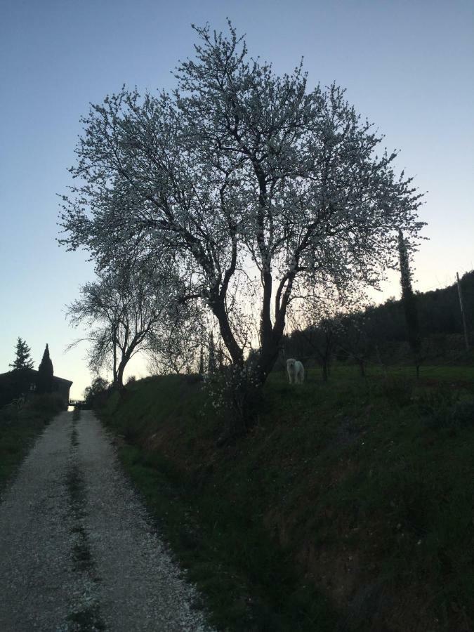 Podere Baloo Holiday home
