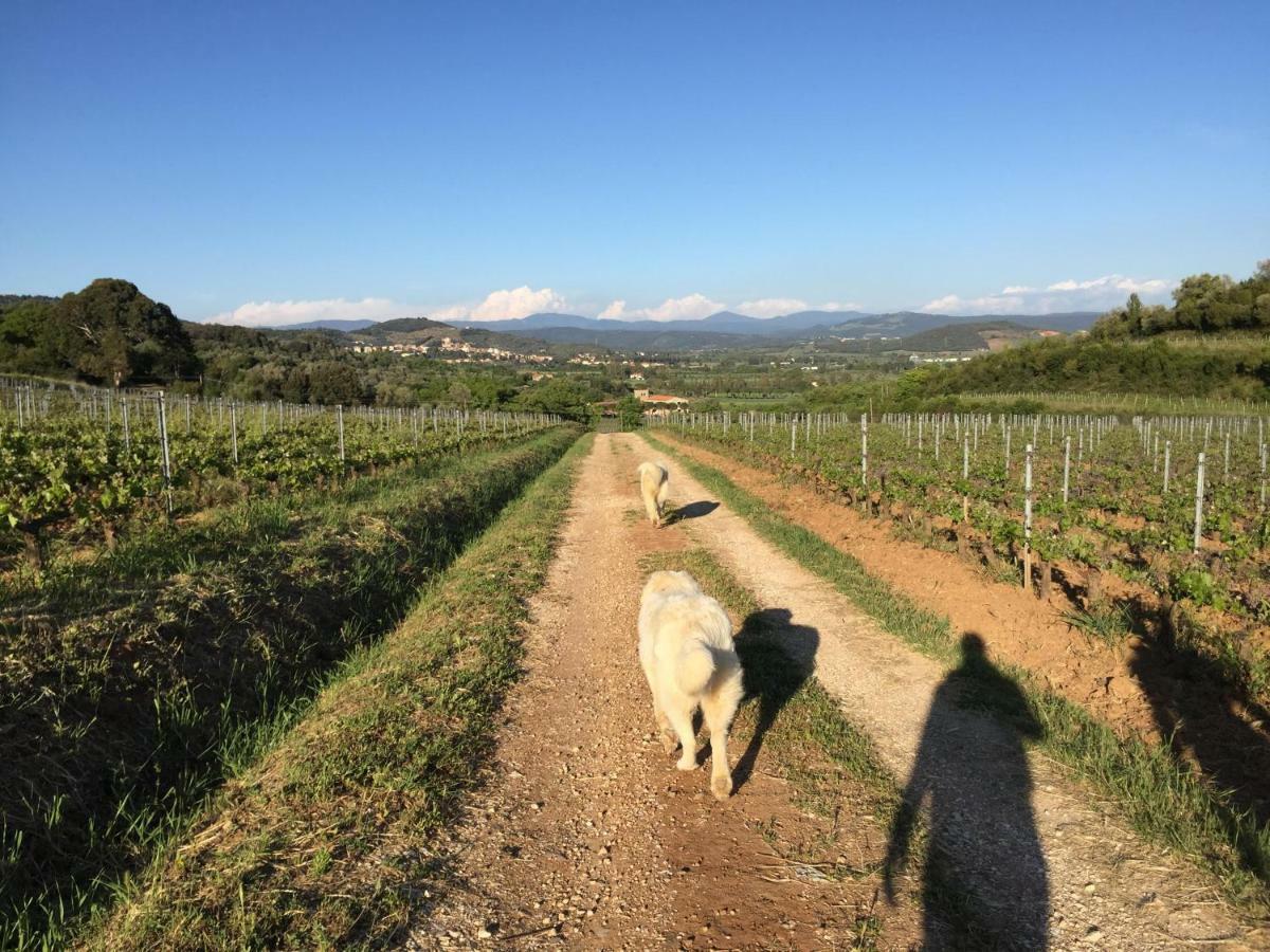 Podere Baloo Holiday home