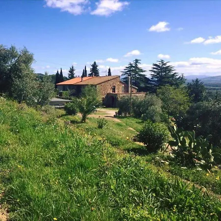Podere Baloo Suvereto Extérieur photo