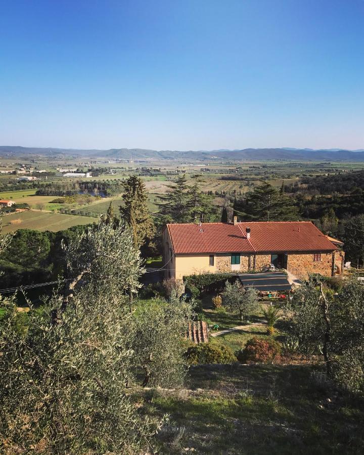 Podere Baloo Suvereto