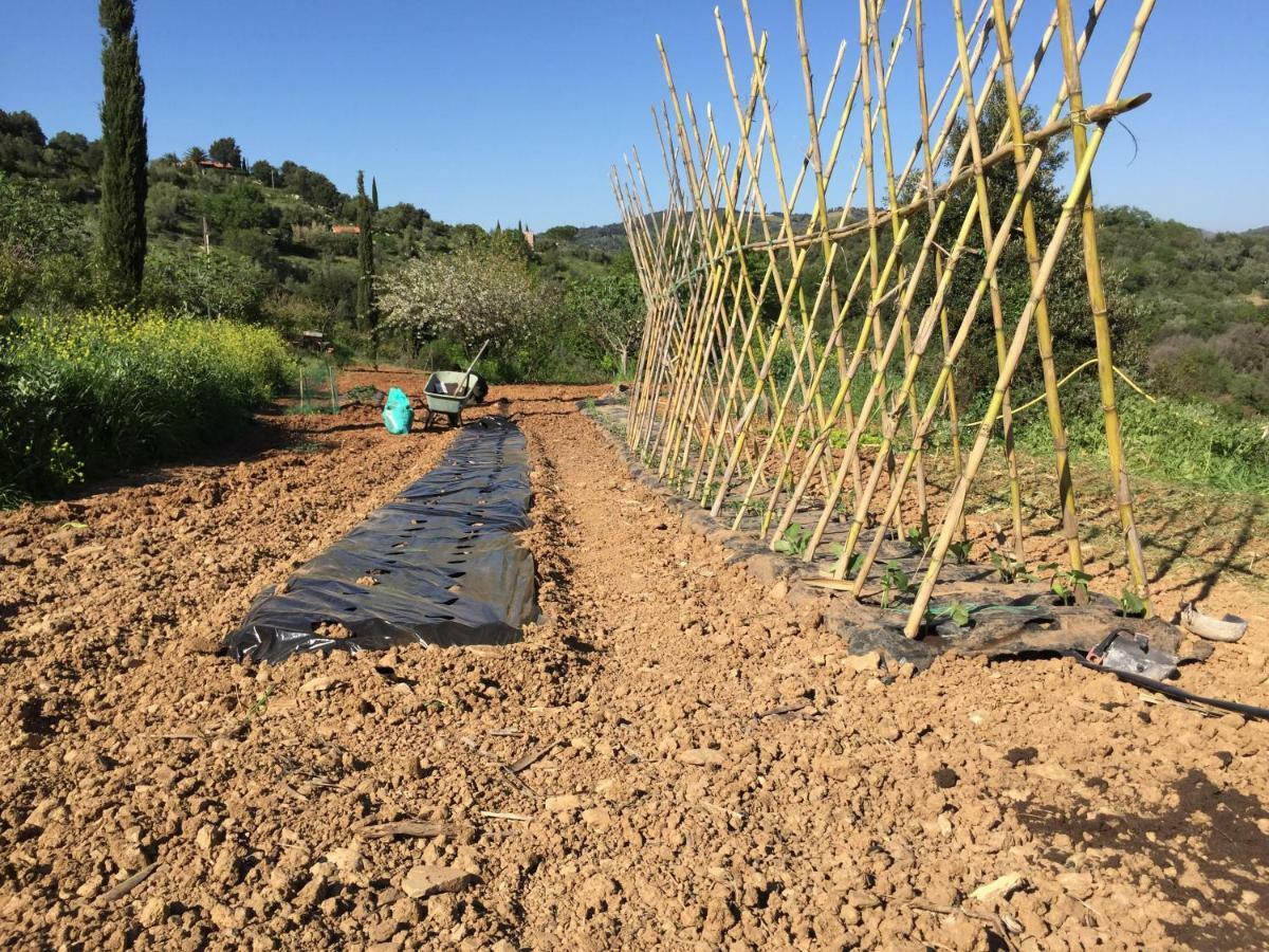 Podere Baloo