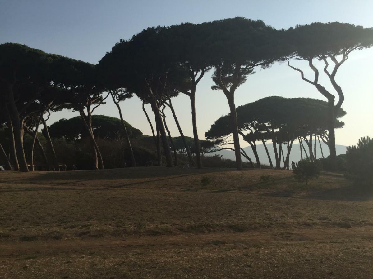 Podere Baloo Сasa de vacaciones Suvereto